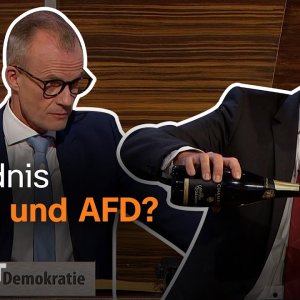 Ist Friedrich Merz der AfD gegenüber etwa nicht abgeneigt? | Die Anstalt