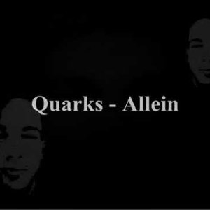 POP+ELECTRONICA+GROOVE+FEMALE: Quarks - Allein (DE 2002)