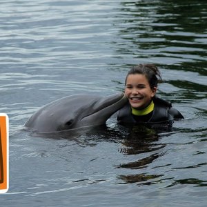 TIERE+DOKU+DELPHINE: Wie pupst der Delfin? | Reportage für Kinder | Anna und die wilden Tiere (BR 2017)