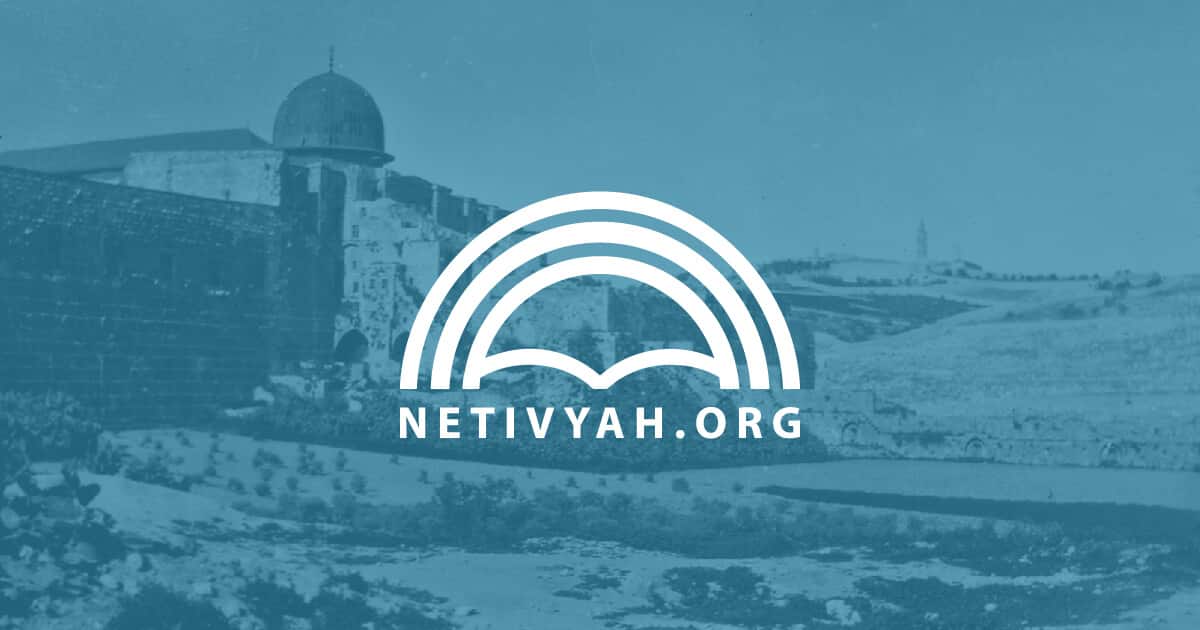netivyah.org
