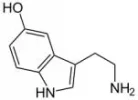Serotonin.webp