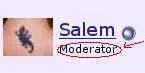 salem.webp