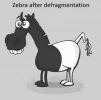 zebra.webp