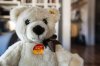 Teddy-Bear-Day-c-2015-Sven-Giese-3.jpg
