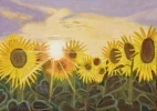 Sonnenblumen (600x425).webp