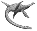 Plesiosaurus2.jpg Plesiosaurus2.jpg