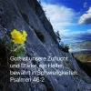 gott zuflucht.webp