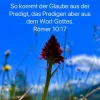galube aus predigt.webp galube aus predigt.webp