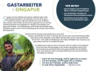 singapur.webp