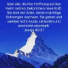 neue kraft Kopie 2.webp neue kraft Kopie 2.webp