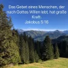 willen gottes lebt.webp willen gottes lebt.webp