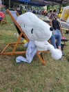 1000002543.webp