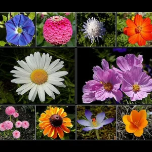 nur eine Frage der Zeit ...