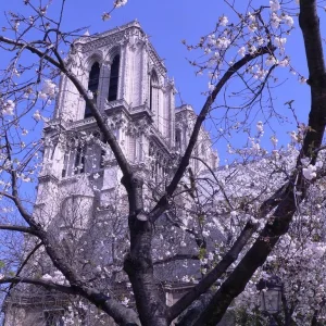 Notre Dame en Printemps