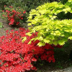 Medium 'Bild 02' in der Kategorie 'Sonstiges'