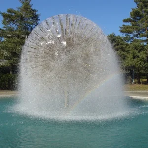 Pusteblume mit Regenbogen