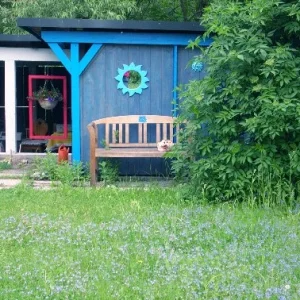 blaue_wiese_Mittlere_Webansicht