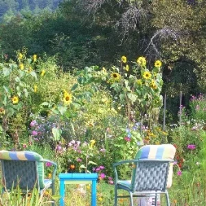 schauen auf den sommer