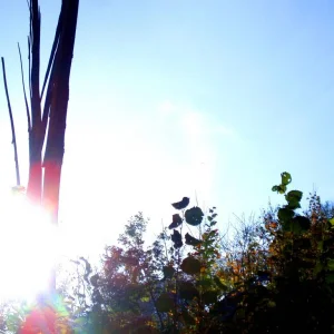 begegnung am wegrand