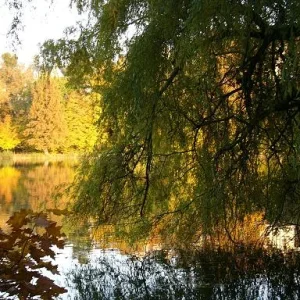 See in der  Abendsonne