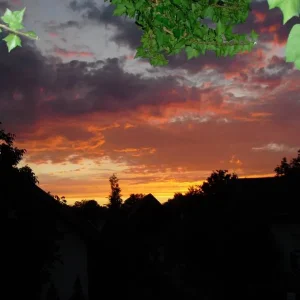 Abendlicher Blick aus meinem Fenster