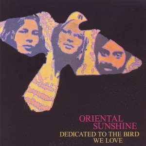 POP+FOLK+BALLADE+FEMALE: Oriental Sunshine - My Way to be hurt (NO 1969)