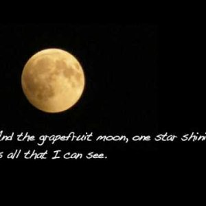 FOLK+BALLADE+ECHTSTIMME: Tom Waits - Grapefruit Moon (US 1973)