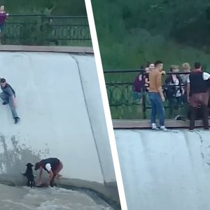 TIER+MENSCH+HUND+FLUSS+RETTUNG+KASACHSTAN: Der Hund droht, jede Sekunde weggeschwemmt zu werden, als ein Passant dem Tier zur Hilfe eilt (KZ 2021)