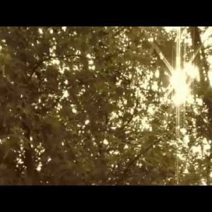 POP+COUNTRY+FOLK+BALLADE: Lee Hazlewood - My Autumn's done come (US 1966)