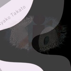 AMBIENT+ELECTRONIC+VOCALISE+JAPAN+FEMALE: MICABOX feat. Ayako Takato ‎- ひねもす(Twist) (JP 2004)