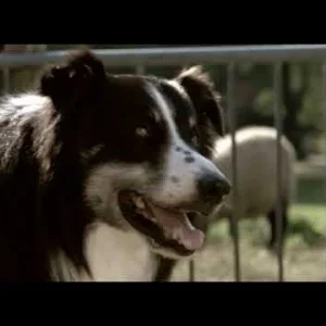 POP+LIED+FOLK+INDIE+ROCK+BALLADE: Blumfeld - Neuer Morgen (DE 2003)