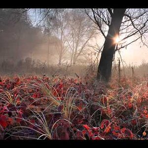 KLASSIK+ROMANTIK+KLAVIER+GEIGE+LIEBLICH+GOODIE: Antonin Dvorak - Romance for piano and violin, Op.11 (1879)