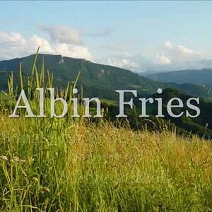 KLASSIK+MODERN+INSTRUMENTAL+ROMANTIK: Albin Fries - Sonata for Oboe and Piano "Summer" (AT 2007)