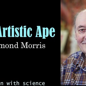 TALK+INTERVIEW+ENGLISCH+VERHALTEN+FORSCHUNG: Desmond Morris - The Artistic Ape | Zoologist | Surrealist | Naked Ape (CZ 2021) [Reason with Science]