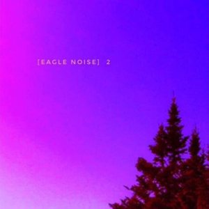 POP+ROCK+SATIRE+KIDS+TRASH: Eagle Noise - Stars (US 2017)