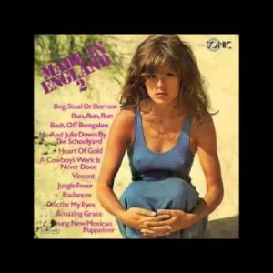 DISCO+GROOVE+FUNKY+SEXY+DANCE+COVER+FEMALE: The Hiltonaires - Jungle Fever (Chakachas Cover Version) (UK 1971)