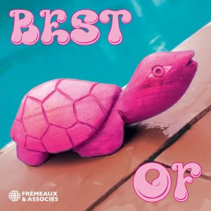 POP-COVER-BAND+SWING+JAZZ: Pink Turtle - Hotel California (FR 2008)