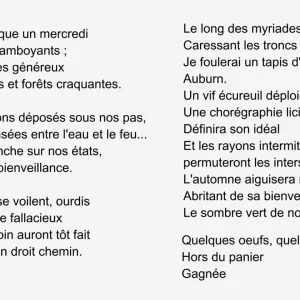 INSTRUMENTAL+PIANO+BALLADE: Pierre-Michel Sivadier - L'automne (FR 2024)