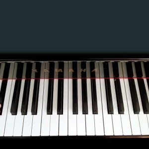 INSTRUMENTAL+PIANO+IMPROVISATIONEN: Pierre-Michel Sivadier - Détention douce (FR 2024)