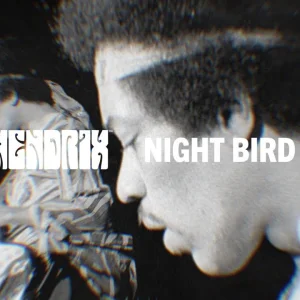 ROCK+IN MEMORIAM: Jimi Hendrix - Night Bird flying (US 1971)