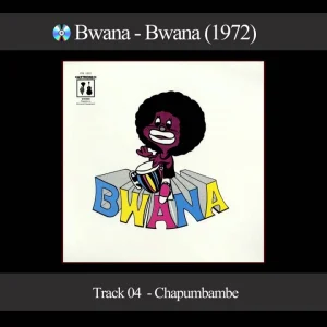 POP+AFRO+LATIN+PERCUSSION+GROOVE: Bwana - Chapumbambe (NI 1972)