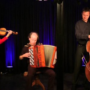 Rudi Zapf Trio - Sliab na mBhan & The Devil Among the Tailors & Timour the Tartar - YouTube