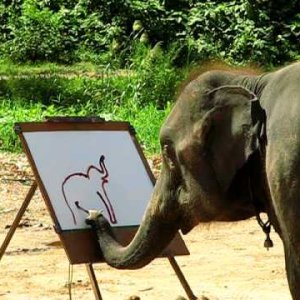 Suda - The Painting Elephant - YouTube