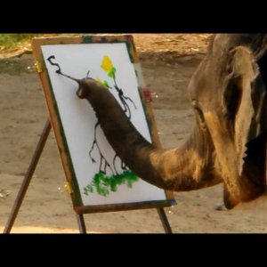 Elephants Painting Elephants - Suda... the Rembrandt of Painting Elephants - YouTube