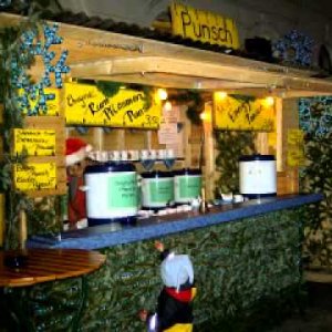 Projekt X - Am Punschstand (NUR AUDIO)