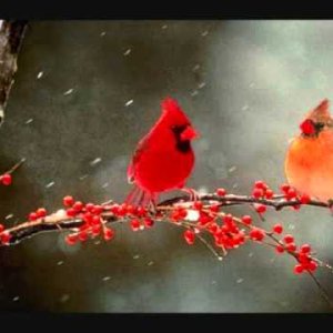 Debussy - Erik Satie Gymnopedie No 1 - YouTube