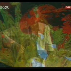 Arik Brauer - Die wilde Sau geht um - YouTube