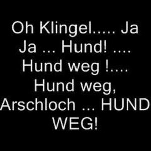POP+FOLK+SATIRE: Faith no more - Das Schützenfest (US 1995)