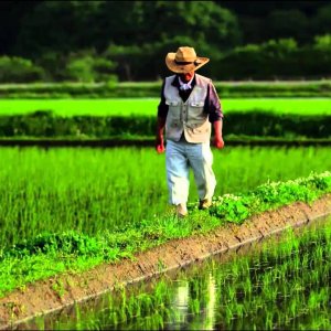 Vertikale Bauernhöfe - FUTURE - ARTE - YouTube