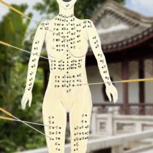 Wie gut ist sanfte Medizin? Alternative Heilmethoden auf dem Prüfstand - ZDFzeit HD - YouTube